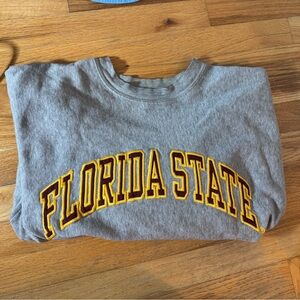 Vintage Steve & Barry’s Cropped Florida State Hoodie